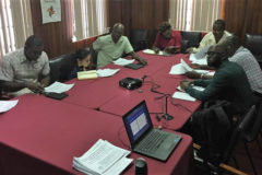 Private and Public Sector in Guyana Get Together to Discuss Challenges and Achievements in Smart Agriculture