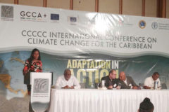 Grenada Showcases Climate Change Adaptation at Regional Conference