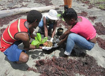 Grenada Leading the way for Climate Change Adaptation