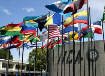 IICA to Present a Renewed Cooperation Model to its Executive Committee