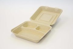 biodegradable food container