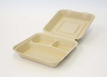 biodegradable food container