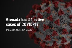 Thirteen New Cases of COVID-19 Diagnosed in Grenada