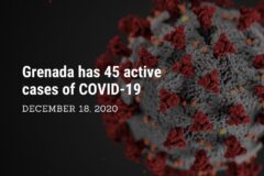 Ministry of Health Confirms Nine New Positive Cases of Covid-19