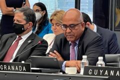 Remarks by Hon. Peter David – 21st Meeting of Foreign Affairs Ministers Latin American and Caribbean States Community (CELAC)
