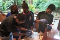 Caribbean Institute For Sustainable Island Living Inspiring The Next Generation