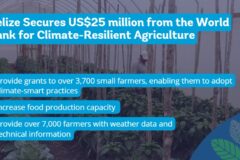 Belize Secures US$25 Million from the World Bank for Climate-Resilient Agriculture