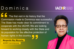 IACHR Concludes Promotional Visit to Dominica