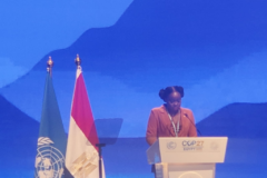 Hon. Kerryne James Attends COP 27 in Sharm El Sheik, Egypt