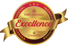 Official Excellence Champion Logo in Red