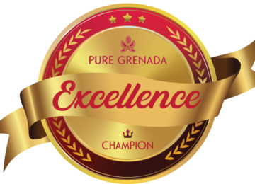 Official Excellence Champion Logo in Red