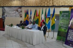 Regional Coconut Training Workshop and Exhibition opened in St. Georges, Grenada
