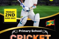 PRIMARY SCHOOL CRICKET FINAL TO BE HELD AT BEAUSEJOUR PLAYING FIELD