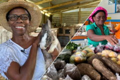 “Her Land. Her Rights” – The OECS Releases Video Documentary on Women in Farming in St. Vincent and the Grenadines