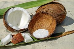 Grenada is taking Steps to Increase the Economic Value derived from the Coconut Industry