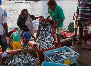 CAF, FAO, and CRFM partner on new Regional GEF Funded Blue Economy Project to strengthen Marine Biodiversity and Fisheries resilience in the Caribbean