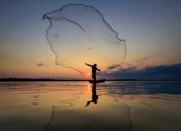 Celebrating World Fisheries Day in the Caribbean