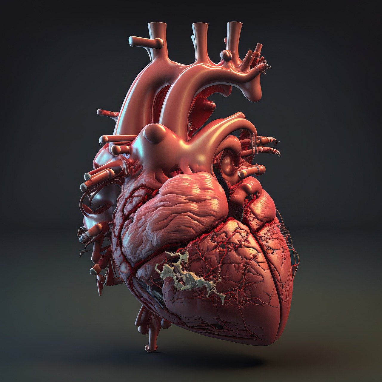 Diabetes and your Heart The Barnacle News Diabetes and your Heart The Barnacle News