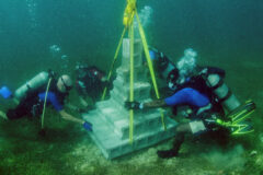 Dive Grenada - Artificial Reef 6 copy