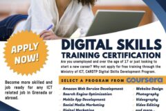 Digital Skills Training Certification