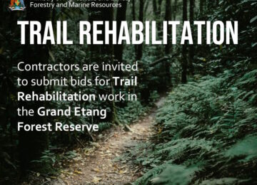 Trail_rehabilitation_flyer copy