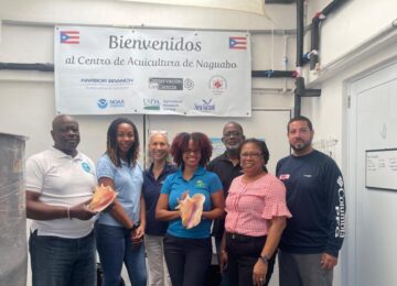 OECS Fisheries Officers Focus on Conch Nursery Feasibility at Study Tour in Puerto Rico